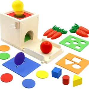 Discovery Playset